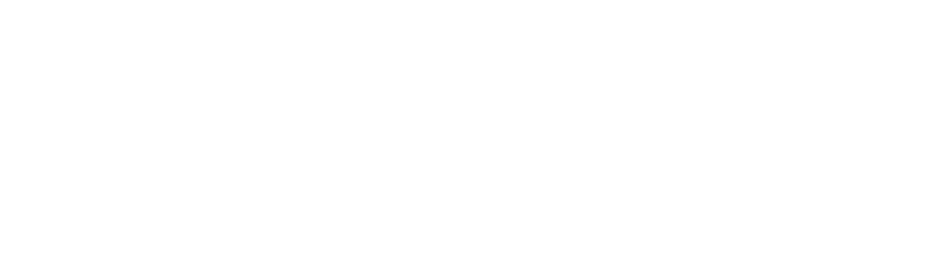 Ideapro logo